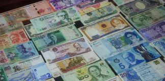 Objem zelených dluhopisů vzrostl loni na rekordních téměř 270 mld. USD