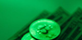 S posledním růstem bitcoinu Češi investovali více než 3,5 miliony Kč